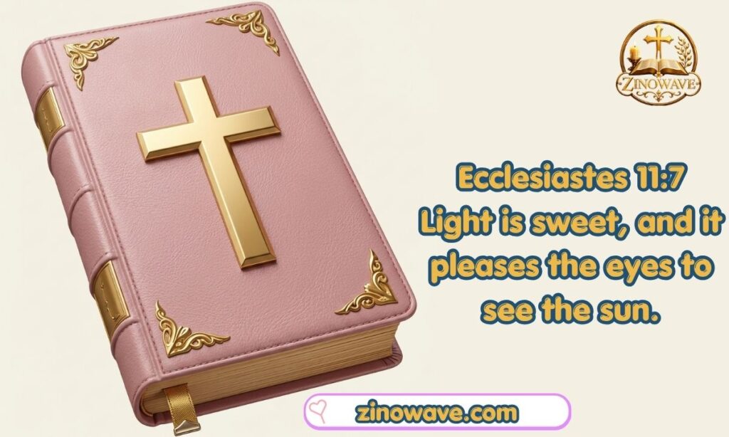 Bible Verses About the Sunset