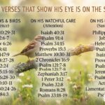 36 Bible Verses That Show His Eye Is On The Sparrow